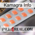 Kamagra Info 26